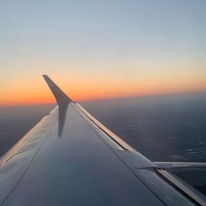 Meet your Posher, Bailey